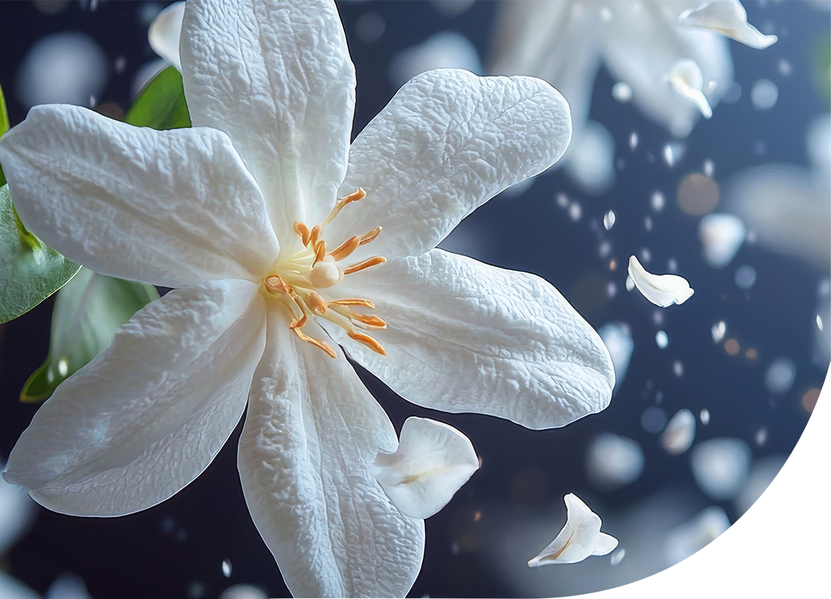 Custom Fragrance Development - SFP Sons India