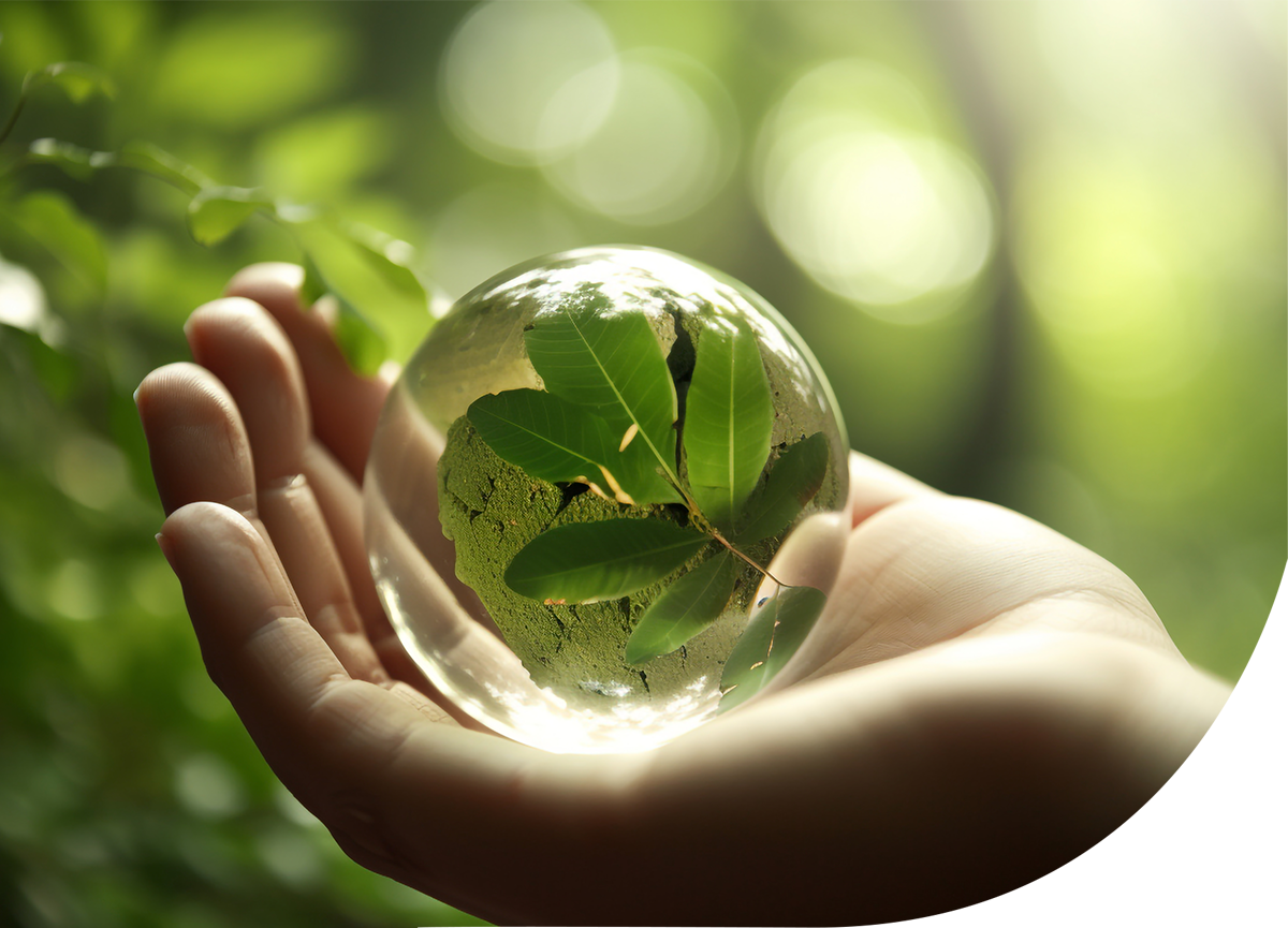 Custom Fragrance Development - SFP Sons India